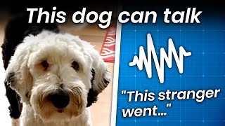 The Dog Who Learned to Form 5-Word Long Sentences