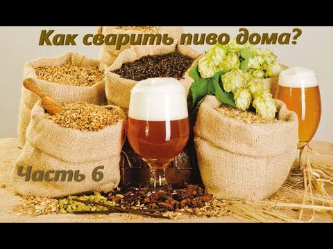 Как сварить пиво дома? Часть 6 - Брожение. Все этапы брожения пива в домашних условиях!
