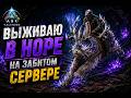 ВЫЖИВАНИЕ В НОРЕ БАРБАДУКА НА ЗАБИТОМ СЕРВЕРЕ В ARK ASCENDED