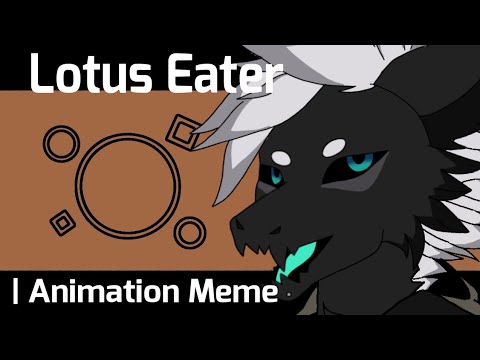 Видео: #Animation #animationmeme #FlipaClip #furry #Qwanou  Lotus Eater | Animation  Meme