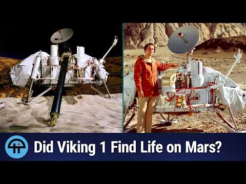 Did Viking 1 Really Find Life on Mars?
