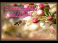 Khalid Al Jaleel 16 Surah An Nahl Full تلاوة تفوق الوصف الشيخ خالد الجليل سورة النحل كاملة 