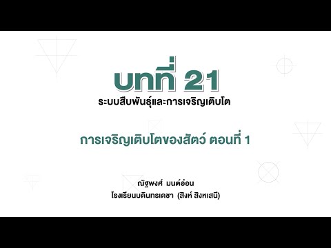 วีดีโอ: เหตุใดจึงต้องมีความสมดุลระหว่างทั้งสามเพื่อส่งเสริมการเจริญเติบโตของพืชในอุดมคติ?