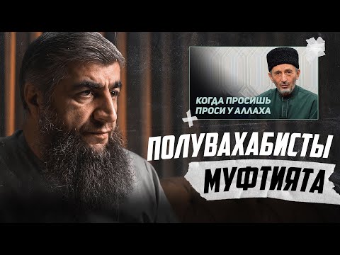 Полувахабисты муфтията