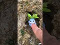 A mesmerizing tiny fantasy creature .#fyp#cuteanimlas #fantasycreatures#reels