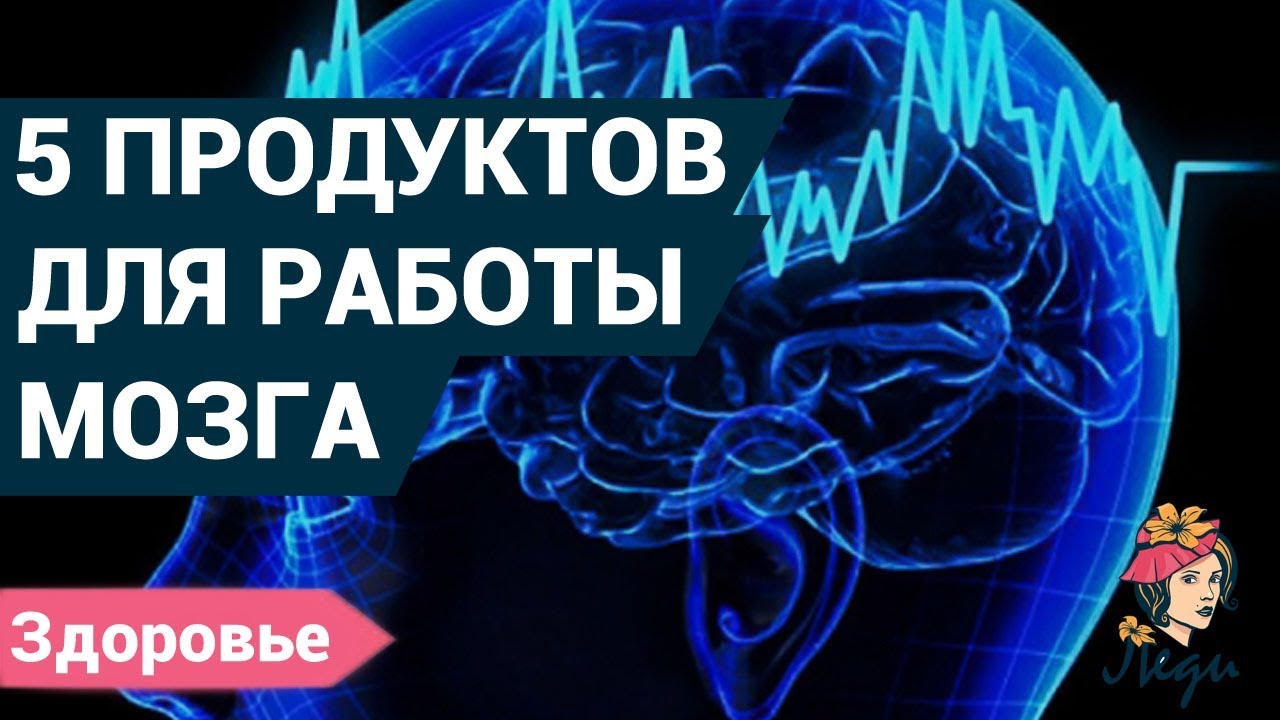 Смотреть 55 способов улучшить работу мозга видео Смотреть 55 способов улучшить работу мозга видео