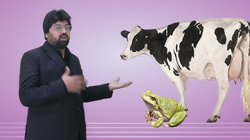 Gohar SNC Science 4, unit 1 lecture 4