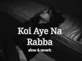 Koi Aye Na Rabba(slowed +reverb) new lofi 2023😢new bollywood lofi song #@lofiloverofficial Mp3 Song