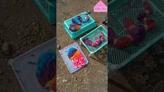 (Part I)Keseruan Workshop Jumputan Shibori #jshiboribinjai #shorts #kelasmembatik #jumputan #shibori (Part I)Keseruan Workshop Jumputan Shibori #jshiboribinjai #shorts #kelasmembatik #jumputan #shibori