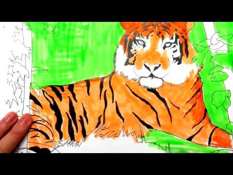Tiger Coloring Page Cute Animals To Color Paint For Kids To Learn Best Coloring Video Youtube