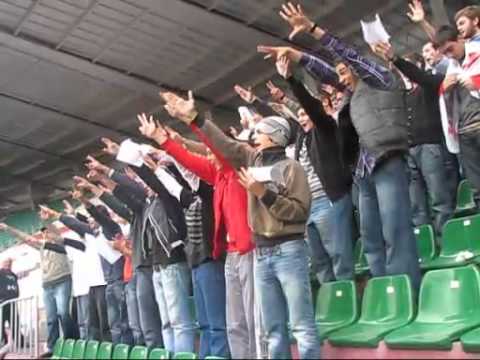 ქართული სპორტის ქომაგები