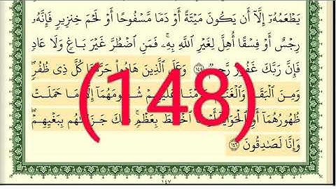 سورة الأنعام رقم الصفحة 148 مجود بصوت القارئ الشيخ أيمن سويد حفظه الله