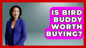 Is Bird Buddy Worth Buying? - Bird Watching Diaries