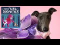 The fairy dogmother childrens book read aloud with school dog