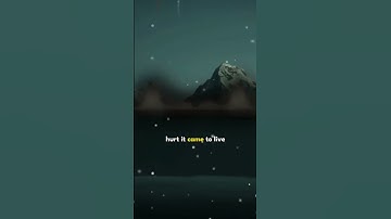 Thumbnail of Hymn Of The Weekend slowed + reverb
