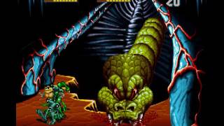 Battletoads arcade 3 player Netplay 60fps