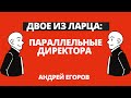 Несколько директоров в одном юридическом лице: параллельные директора. Что важно знать?