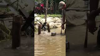 Alat pengusir berang berang si pemakan ikan di kolam # #budidayalele #catfish