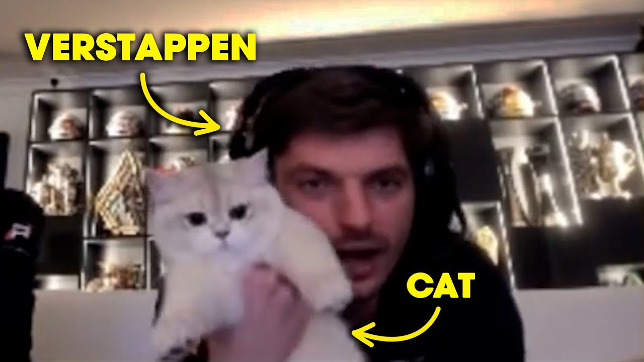 Max Verstappen Being a Cat Dad for 10 Minutes Straight