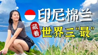 你绝对不知道😱 【印尼棉兰】藏着世界三“最”‼️