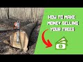 How to make MONEY selling your TREES!!! *BEST WAYS*