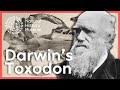 Exploring Darwin's Toxodon Specimen