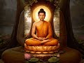 बुद्धम सरनम गच्छामी 🙏 💙 नमो बुध्दाय #shots #gautambudha #whatsapp_status #namobuddhay #धम्मसकाळ 💙💙