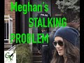 MEGHAN'S OLD PROBLEM - with NEW INFO. Is this an old game which is STILL being played?