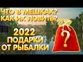 ЧТО в мешках? как, где и на что их ловить? | мешки 2022 | оз. Комариное | Русская Рыбалка 4