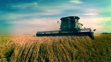 Simulación Computacional