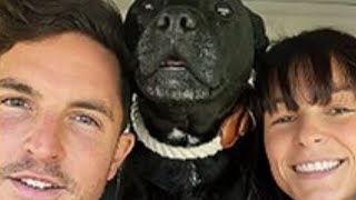 Download Lagu Dennis the Shelter Dog Tried Talking to Everyone—Only I Stopped to Listen MP3