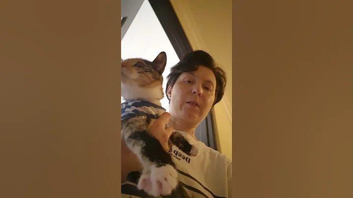 Video 10151551: pets kitty funnycats catlove, kitten kitty catlover funnycats, funnycats pets catlover cats, kitty catlover cute funnycats, pets kitty catlover funny, funnycat furry