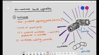 1-7 Ribosomes, Centrosomes, Cilia & Microvilli (Cambridge A level  Bio)