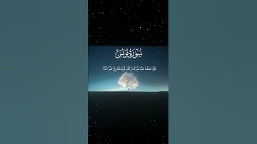 سورة يونس|12|القارئ:#محمد_اللحيدان #قران #quran#قران_كريم #تلاوة #تلاوة_هادئة #آية #تلاوة_خاشعة