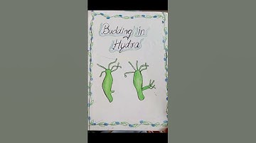 Activity chapter 6   reproduction in animals (8th class)