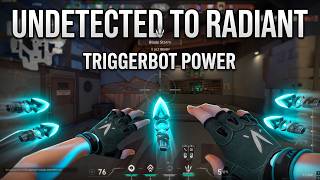 This Valorant Triggerbot Got Me to Radiant… Undetected & INSANE Results