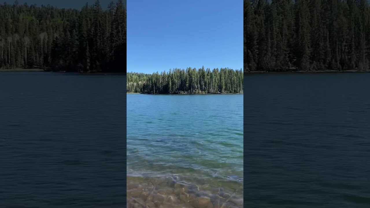 EARL PARK FISHING! White mountainsAZ