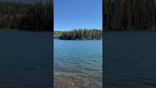 EARL PARK FISHING! White mountainsAZ