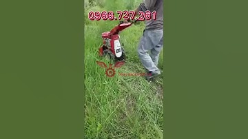 Máy cắt cỏ voi liên hoàn động cơ dầu CDB75