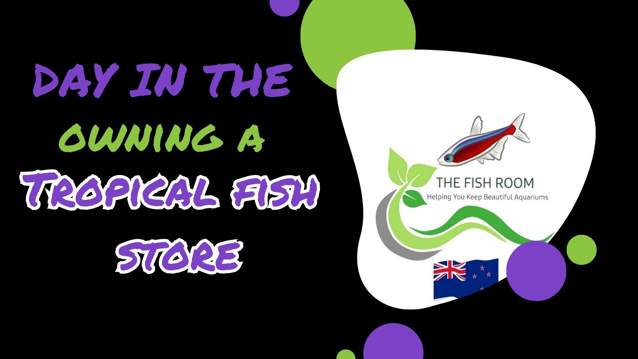 A day in the life of running a tropical fish store 155 YouTube