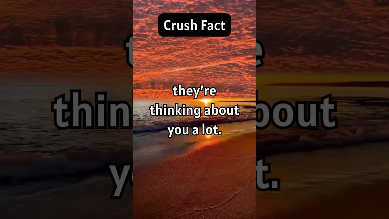 Crush Facts That Will Melt Your Heart 💕😲 