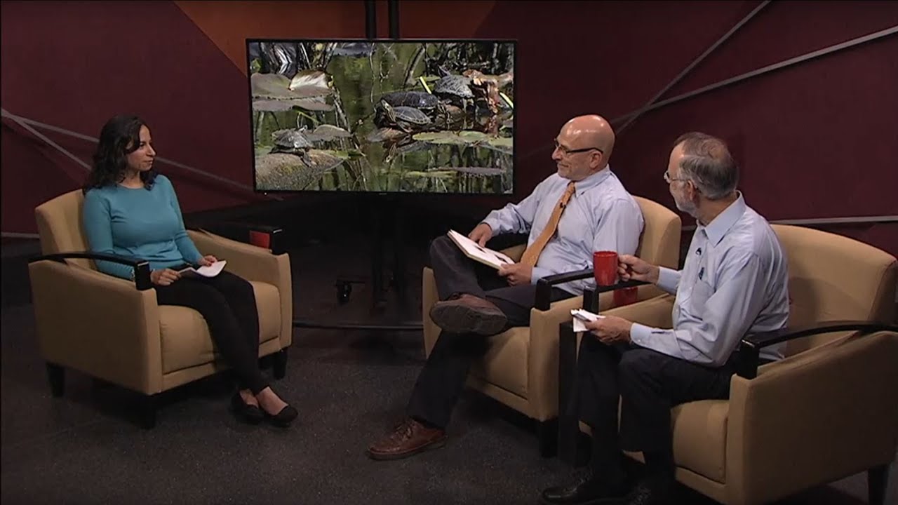 Neighborhood Moment - Central Neighborhood Council August 2017