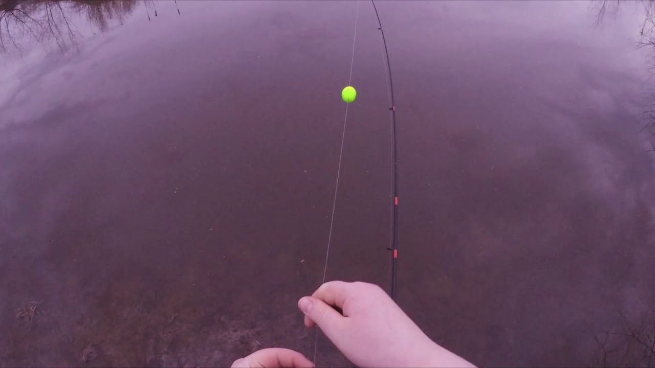 Fishing In Murky Water YouTube