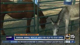 Marana Animal Rescue asking for help to stay open