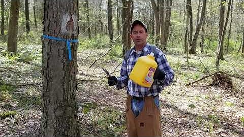 Property Boundary Line Marking