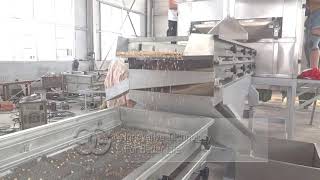 Commercial Use Macadamia Nut Chopping Cutting Machine From Cara@machinehall.com
