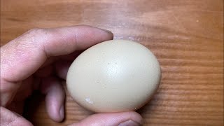 Raw Egg Peeling 