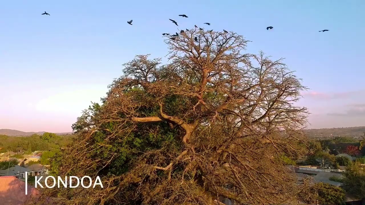 MUONEKANO WA MJI WA KONDOA