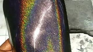 Cat hologram PU