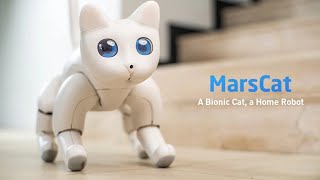 Bionic Cat, A Home Robot - MarsCat